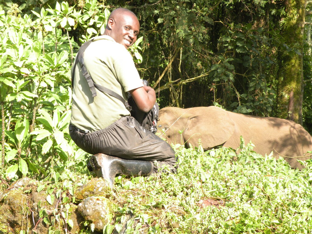 Elephant Health assesssment 3648x2736 ( Other Wildlife no kuri Research presentation of the Founder )