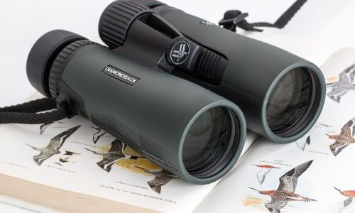 Binoculars-birdwatching-900x600